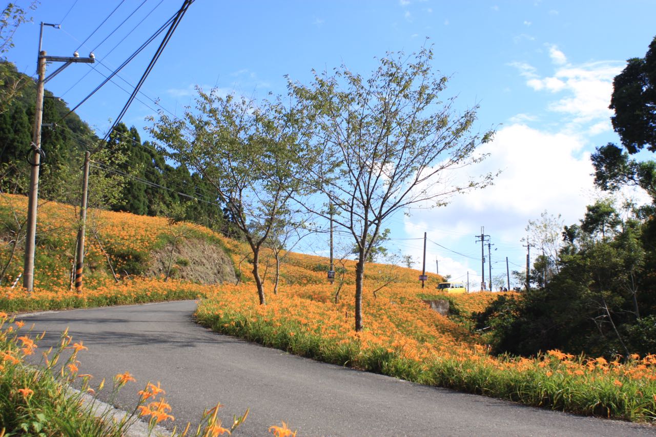 四季皆適合來訪的-花蓮